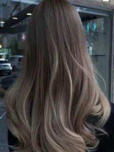 خدمات ماکرومیست چیست؟